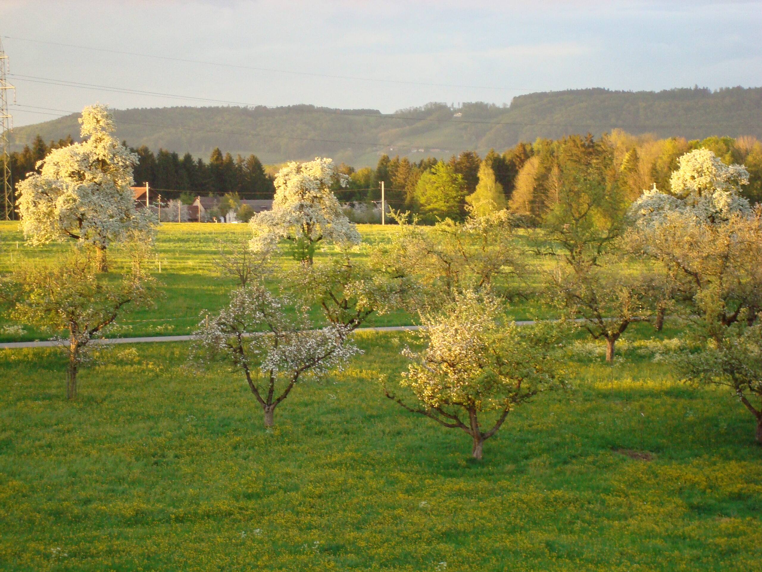 Landfrauen.ch_Paysannes.ch_Natur (2)