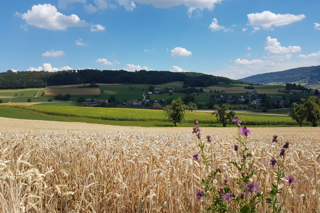 ©Canva.com_Pause