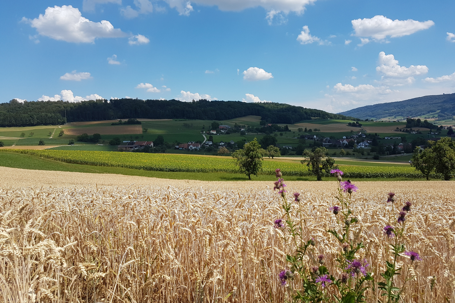 ©Canva.com_Pause